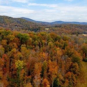 Photo #3 of ADIAL RD, FABER, VA 4.9 acres