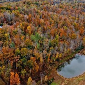 Photo #11 of ADIAL RD, FABER, VA 4.9 acres