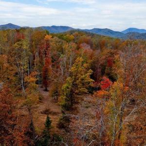 Photo #3 of ADIAL RD, FABER, VA 9.3 acres