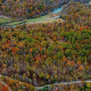 Photo #6 of ADIAL RD, FABER, VA 9.3 acres