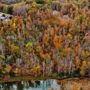 Photo #5 of ADIAL RD, FABER, VA 9.3 acres