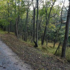 Photo #9 of 8771 SNOWDRIFT LN, BROADWAY, VA 1.2 acres