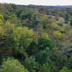 Photo #11 of 8771 SNOWDRIFT LN, BROADWAY, VA 1.2 acres