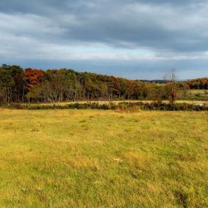 Photo #8 of TBD ROUDABUSH LN, CHURCHVILLE, VA 1.3 acres