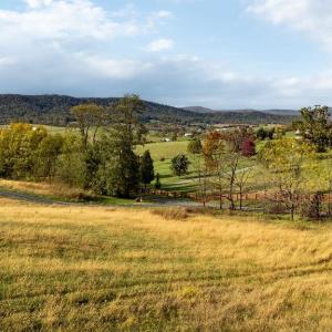 Photo #18 of TBD ROUDABUSH LN, CHURCHVILLE, VA 1.3 acres