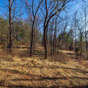 Photo #4 of TBD FAIRVIEW RD, MOUNT CRAWFORD, VA 5.0 acres