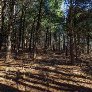 Photo #2 of TBD FAIRVIEW RD, MOUNT CRAWFORD, VA 5.0 acres