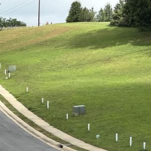 Photo #1 of TBD COLLINSWOOD DR, STAUNTON, VA 2.0 acres