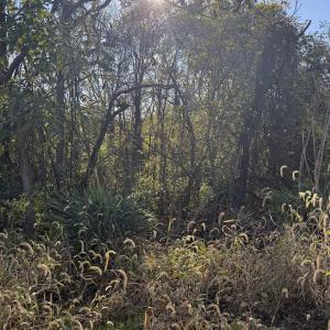 Photo #1 of JEROME RD, MOUNT JACKSON, VA 2.8 acres