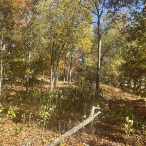 Photo #6 of 330 BALD ROCK RD, VERONA, VA 12.1 acres