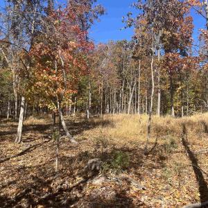 Photo #17 of 330 BALD ROCK RD, VERONA, VA 12.1 acres