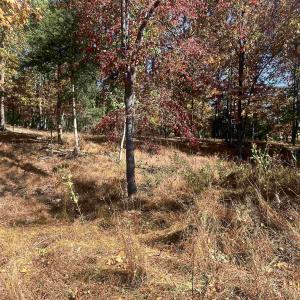 Photo #8 of 330 BALD ROCK RD, VERONA, VA 12.1 acres