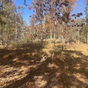 Photo #3 of 330 BALD ROCK RD, VERONA, VA 12.1 acres