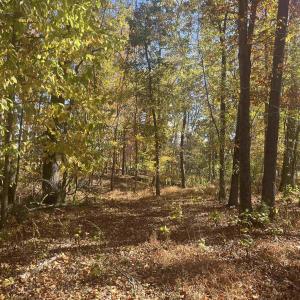 Photo #5 of 330 BALD ROCK RD, VERONA, VA 12.1 acres