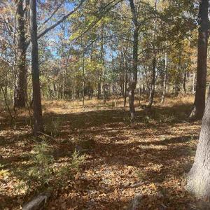 Photo #2 of 330 BALD ROCK RD, VERONA, VA 12.1 acres