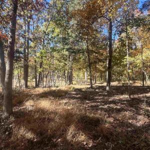 Photo #14 of 330 BALD ROCK RD, VERONA, VA 12.1 acres