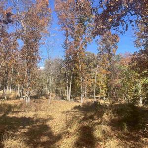 Photo #4 of 330 BALD ROCK RD, VERONA, VA 12.1 acres