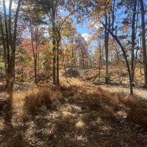 Photo #11 of 330 BALD ROCK RD, VERONA, VA 12.1 acres