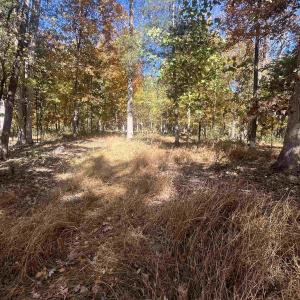 Photo #9 of 330 BALD ROCK RD, VERONA, VA 12.1 acres