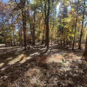 Photo #12 of 330 BALD ROCK RD, VERONA, VA 12.1 acres