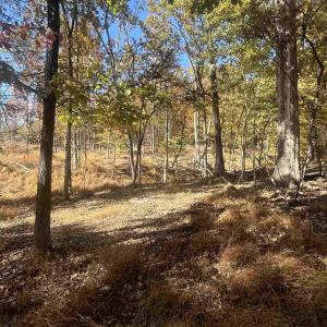 Photo #10 of 330 BALD ROCK RD, VERONA, VA 12.1 acres