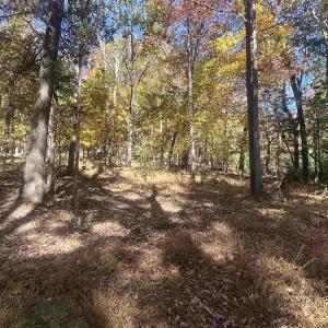 Photo #13 of 330 BALD ROCK RD, VERONA, VA 12.1 acres