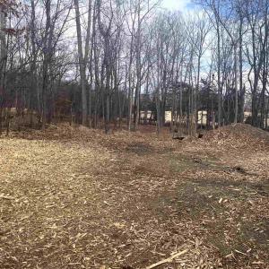 Photo #15 of 330 BALD ROCK RD, VERONA, VA 12.1 acres