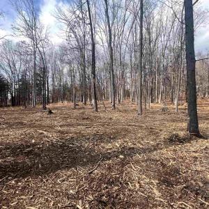 Photo #3 of 330 BALD ROCK RD, VERONA, VA 12.1 acres