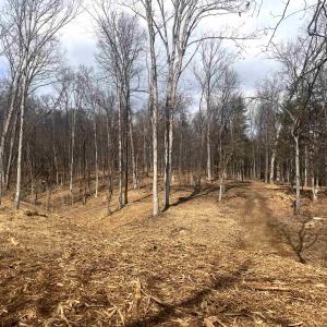 Photo #8 of 330 BALD ROCK RD, VERONA, VA 12.1 acres
