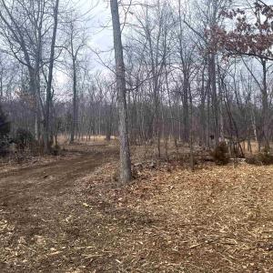 Photo #14 of 330 BALD ROCK RD, VERONA, VA 12.1 acres