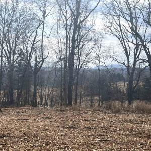 Photo #4 of 330 BALD ROCK RD, VERONA, VA 12.1 acres