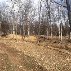 Photo #9 of 330 BALD ROCK RD, VERONA, VA 12.1 acres