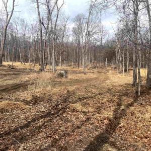 Photo #12 of 330 BALD ROCK RD, VERONA, VA 12.1 acres