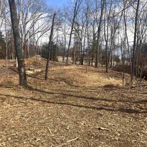 Photo #10 of 330 BALD ROCK RD, VERONA, VA 12.1 acres