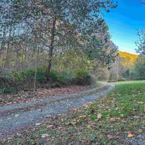 Photo #10 of TBD PEACEFUL LN, LOVINGSTON, VA 47.1 acres