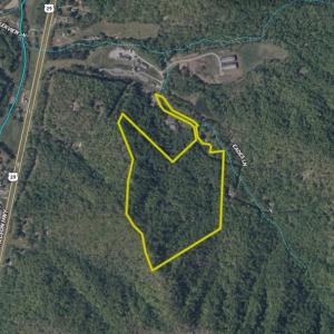 Photo #43 of TBD PEACEFUL LN, LOVINGSTON, VA 47.1 acres