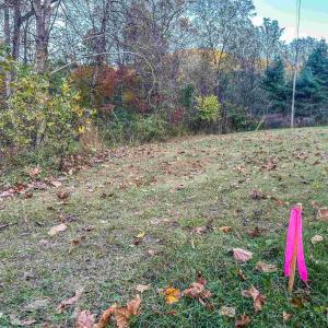 Photo #12 of TBD PEACEFUL LN, LOVINGSTON, VA 47.1 acres