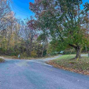 Photo #6 of TBD PEACEFUL LN, LOVINGSTON, VA 47.1 acres