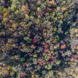 Photo #27 of TBD PEACEFUL LN, LOVINGSTON, VA 47.1 acres