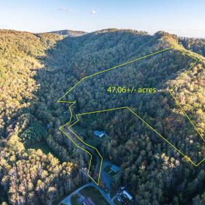 Photo #2 of TBD PEACEFUL LN, LOVINGSTON, VA 47.1 acres