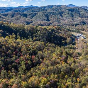 Photo #3 of TBD PEACEFUL LN, LOVINGSTON, VA 47.1 acres