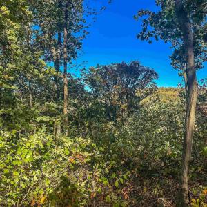 Photo #32 of TBD PEACEFUL LN, LOVINGSTON, VA 47.1 acres