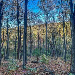 Photo #28 of TBD PEACEFUL LN, LOVINGSTON, VA 47.1 acres