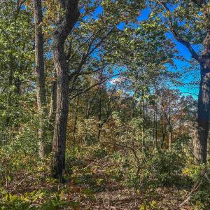 Photo #31 of TBD PEACEFUL LN, LOVINGSTON, VA 47.1 acres