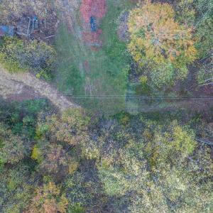 Photo #18 of TBD PEACEFUL LN, LOVINGSTON, VA 47.1 acres