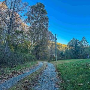 Photo #11 of TBD PEACEFUL LN, LOVINGSTON, VA 47.1 acres
