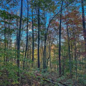 Photo #24 of TBD PEACEFUL LN, LOVINGSTON, VA 47.1 acres