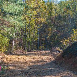 Photo #5 of TBD PEACEFUL LN, LOVINGSTON, VA 47.1 acres