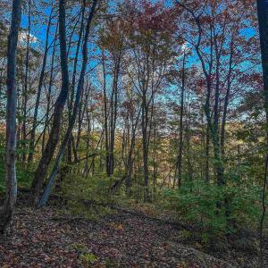 Photo #25 of TBD PEACEFUL LN, LOVINGSTON, VA 47.1 acres