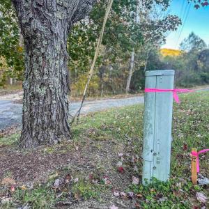 Photo #8 of TBD PEACEFUL LN, LOVINGSTON, VA 47.1 acres